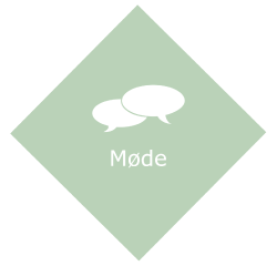 Step 2: Møde for specialdesignede møbler (ikon)